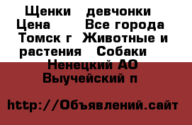 Щенки - девчонки › Цена ­ 2 - Все города, Томск г. Животные и растения » Собаки   . Ненецкий АО,Выучейский п.